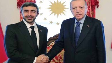 Le président turc reçoit le ministre des Affaires étrangères des Émirats arabes unis