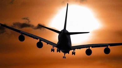 Algérie: découverte de deux cadavres dans la soute d’un avion à l’aéroport d’Alger