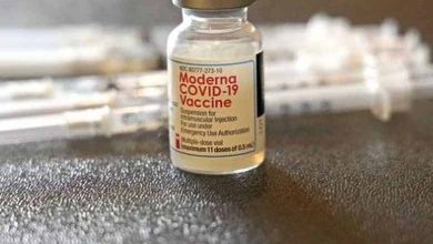 Santé : Face aux sous-variants d'Omicron, les laboratoires dégainent les vaccins bivalents - Omicron