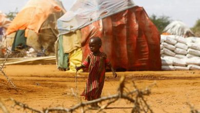 La famine en Somalie à cause de la sécheresse, le président la déclare officiellement