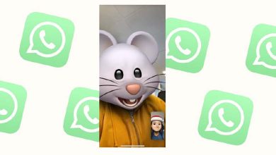 WhatsApp préparerait son propre Memoji pour ajouter une touche de plaisir aux appels vidéo