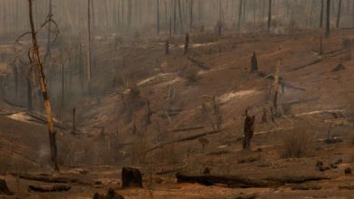 Changement climatique : le monde ne se prépare pas suffisamment au pire, alertent des scientifiques