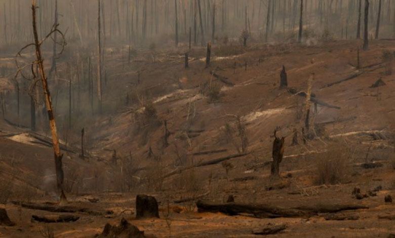 Changement climatique : le monde ne se prépare pas suffisamment au pire, alertent des scientifiques