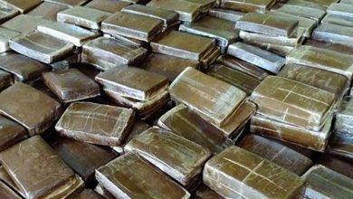 Paris:Trafic de drogue - 9 membres présumés du réseau «Caliweed» mis en examen