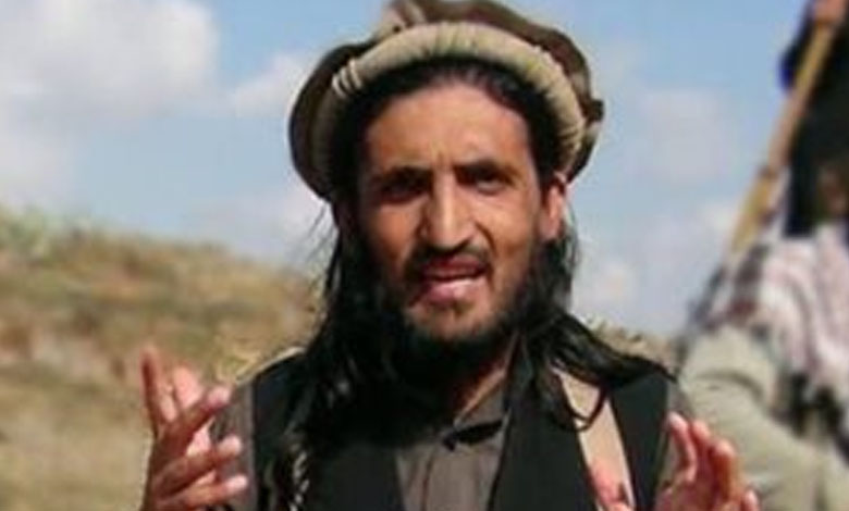 L'assassinat du chef des Talibans pakistanais en Afghanistan menace la stabilité du régime 