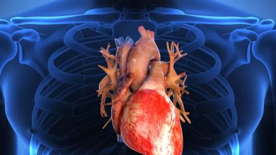 Insuffisance cardiaque : quand le cœur se fatigue