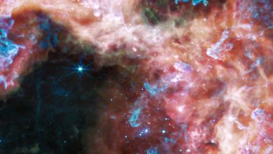 Le télescope James-Webb capture une tarentule !