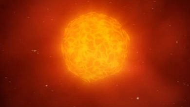 Les étranges oscillations de Bételgeuse