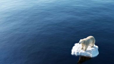 Selon une étude ; Des conséquences climatiques catastrophiques peuvent survenir