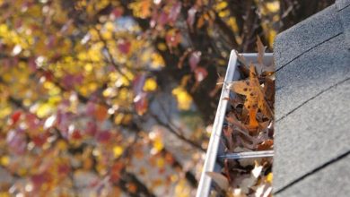 Comment se préparer pour l'hiver ?