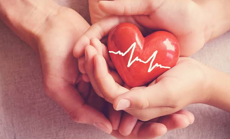 L'hormone de l'amour peut aider le cœur à se remettre d'une crise cardiaque