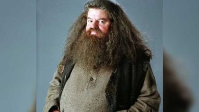 Robbie Coltrane, interprète légendaire d'Hagrid dans Harry Potter, est décédé à l'âge de 72 ans