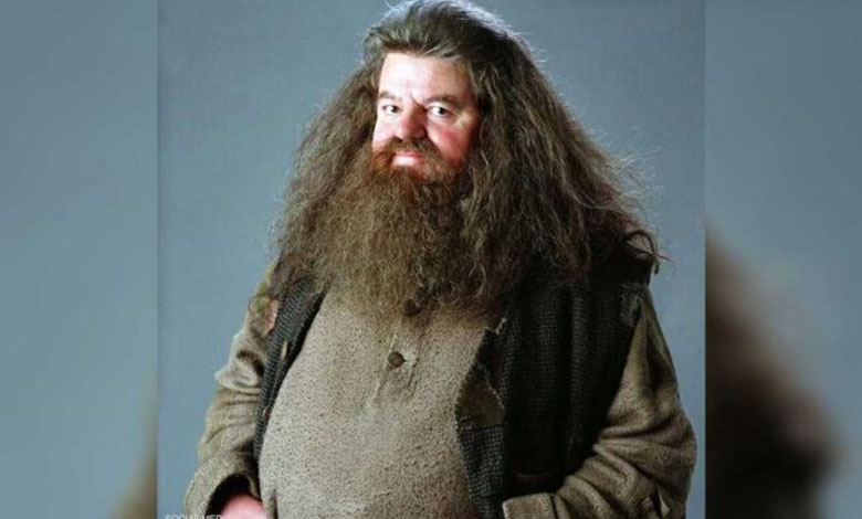 Robbie Coltrane, interprète légendaire d'Hagrid dans Harry Potter, est décédé à l'âge de 72 ans