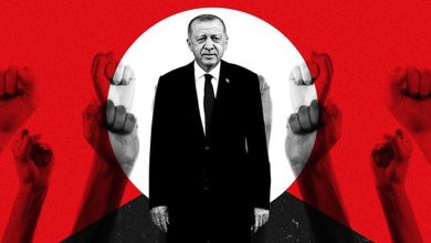 Turquie: Conflit entre Erdoğan et les Réseaux sociaux; Qui gagne ?