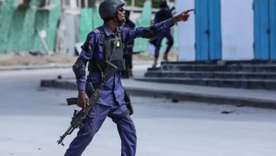 L'armée somalienne assiége le mouvement terroriste al-Chabab - Détails