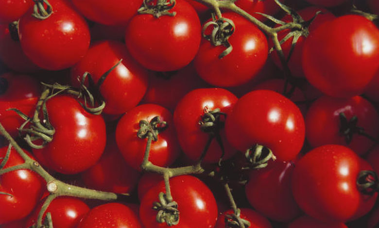 Manger des tomates pendant deux semaines serait bénéfique pour la santé