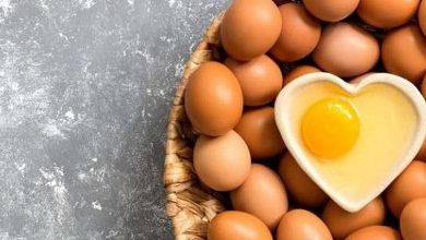 Découvrez les bienfaits nutritionnels des oeufs pour notre santé