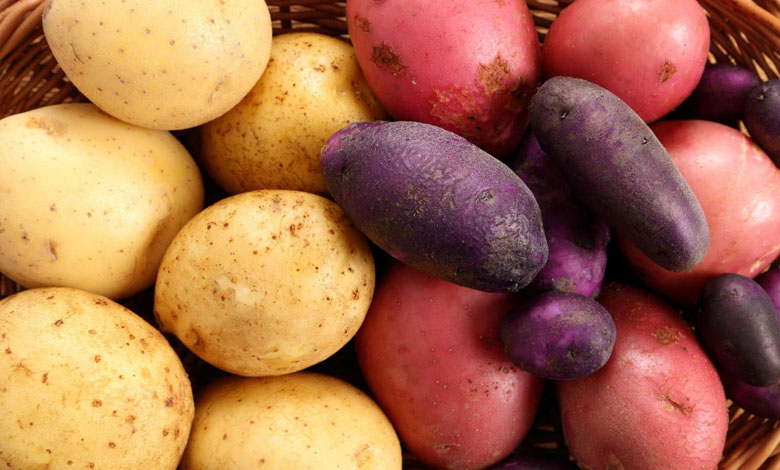 Les pommes de terre sont-elles bonnes pour la santé ?