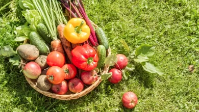 5 portions de fruits et légumes par jour pour être en bonne santé ?