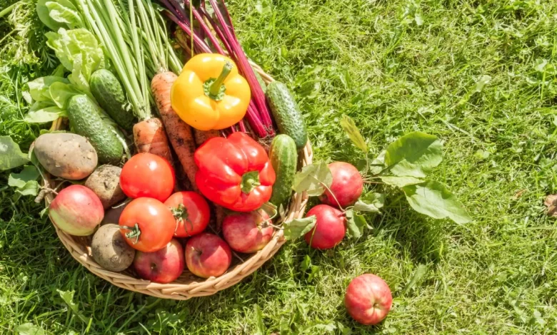 5 portions de fruits et légumes par jour pour être en bonne santé ?