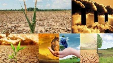 Le changement climatique et son impact sur l'agriculture