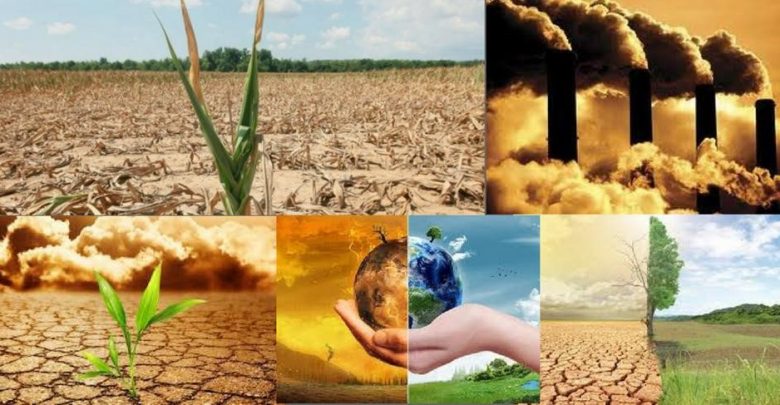 Le changement climatique et son impact sur l'agriculture