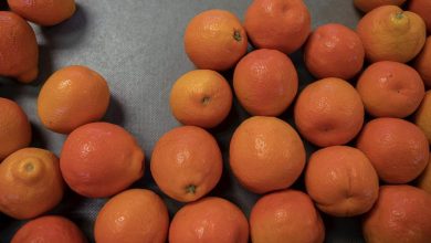 Les oranges rouges : une arme puissante dans la lutte contre les maladies cardiaques
