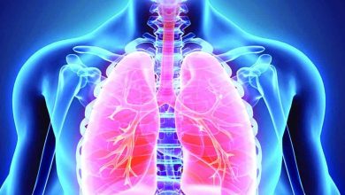 Les trois principaux défis de santé mondiale - les maladies cardiovasculaires, le cancer et les maladies respiratoires