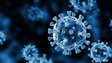 Un nouvel ordre mutant de coronavirus détecté dans un pays arabe