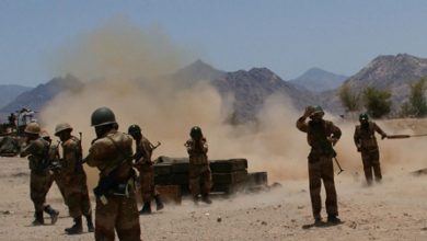 Une série de frappes aériennes - l'armée yéménite réussira-t-elle à éliminer Al Qaïda ?
