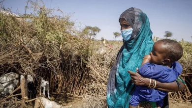 L'Afghanistan et le Yémen sont confrontés à la famine en 2023 - Rapport de l'ONU