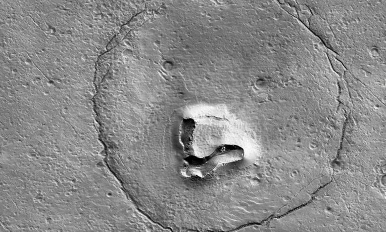 "Ours" sur Mars... une image stupéfiante qui fait sensation