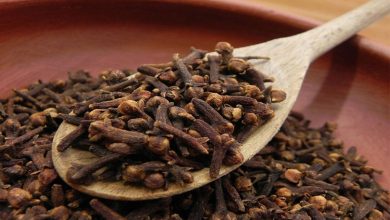 Découvrir les avantages cachés du clou de girofle pour la santé des cheveux : du traitement du cuir chevelu à la réduction des cheveux gris