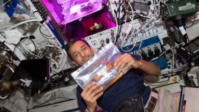 Sultan Al Neyadi étudie la sécurité alimentaire durable dans l'espace (photos)