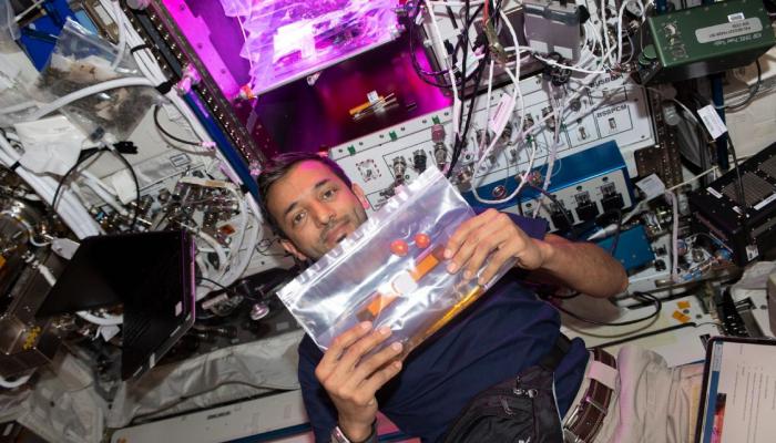 Sultan Al Neyadi étudie la sécurité alimentaire durable dans l'espace (photos)