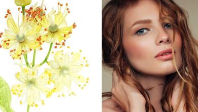 3 Bienfaits beauté méconnus du tilleul pour les cheveux et la peau 