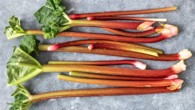 Comment cuisiner la rhubarbe ?