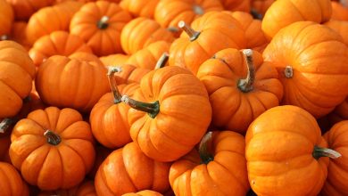 Bienfaits de la citrouille pour la santé