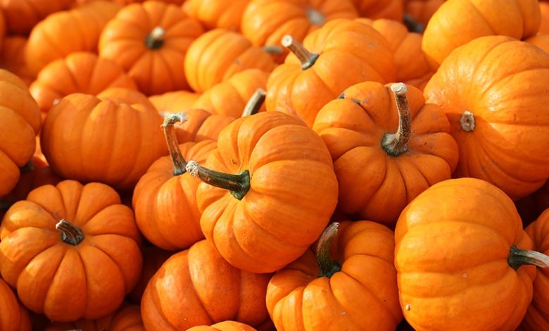 Bienfaits de la citrouille pour la santé