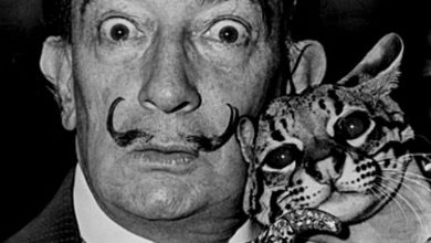Découvrez 10 faits étonnants sur Salvador Dalí