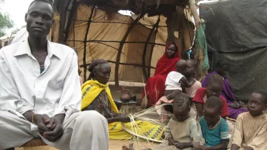 Retour forcé... Une crise majeure confronte les réfugiés soudanais et ceux qui fuient la guerre en Érythrée