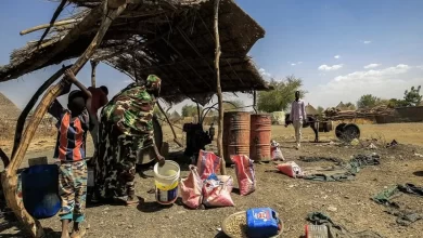 Sudan - Terrifying numbers on hunger and malnutrition rates