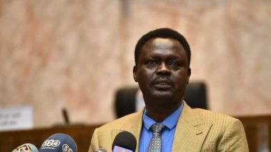 L'appel du gouverneur de la région du Darfour à prendre les armes menace de plonger le Soudan dans un tourbillon de conflits internes