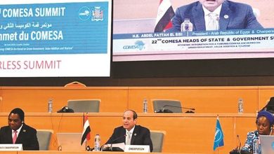 Le sommet de la COMESA en Zambie - La voie vers l'intégration économique africaine