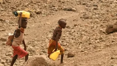 Mise en garde de l'ONU contre une catastrophe dans un pays africain