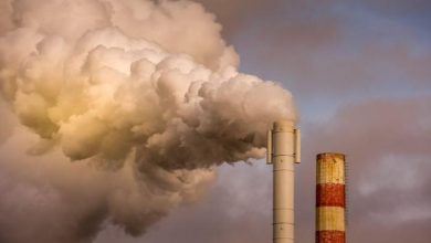 Réchauffement climatique - L'Europe un continent en danger...