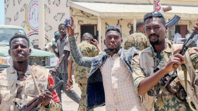 Qui finance le Soudan en armes?