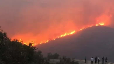 La crise des incendies de forêt en Syrie menace le destin des agriculteurs