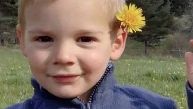 Le mystère entourant la disparition d'Émile - des tensions familiales émergent...