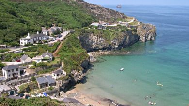 Une fausse nageoire de requin terrifie les étudiants lors d'une sortie scolaire